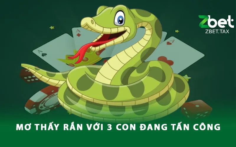 mo-thay-ran-voi-3-con-dang-tan-cong