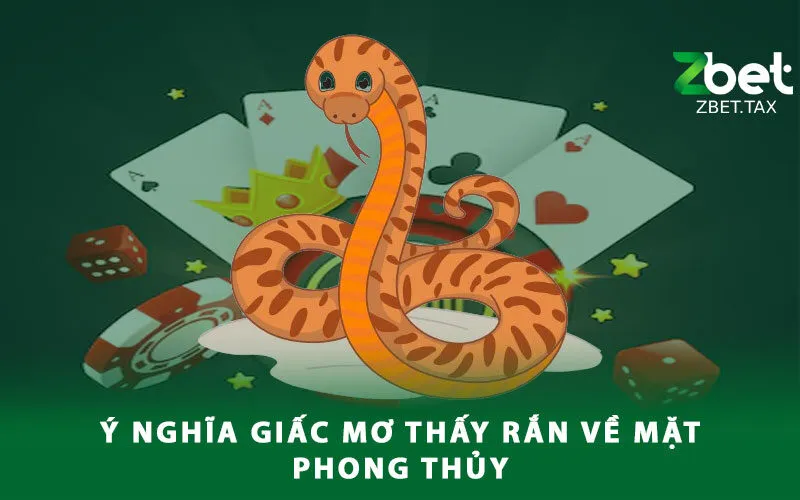 y-nghia-giac-mo-thay-ran-ve-mat-phong-thuy